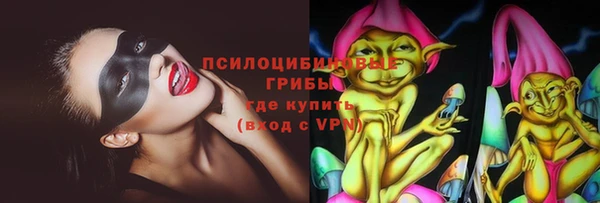 сатива Михайловск