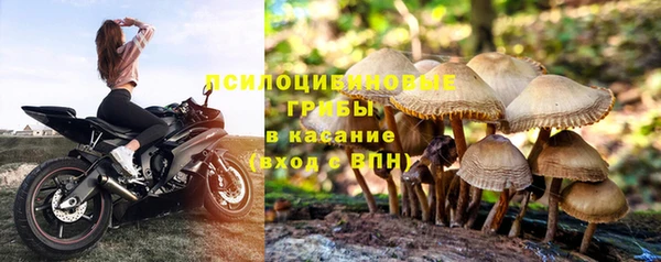 амф Михайлов