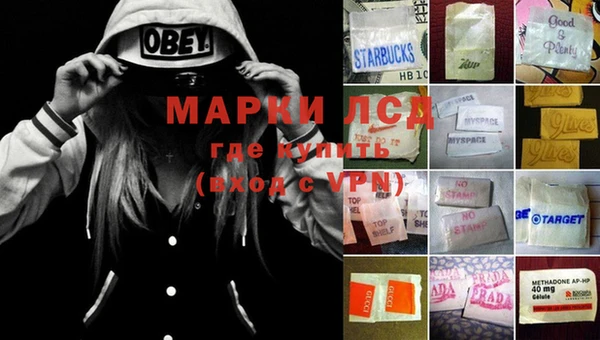 MDMA Михайловка