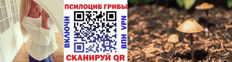 Галлюциногенные грибы Psilocybe  Мурманск 