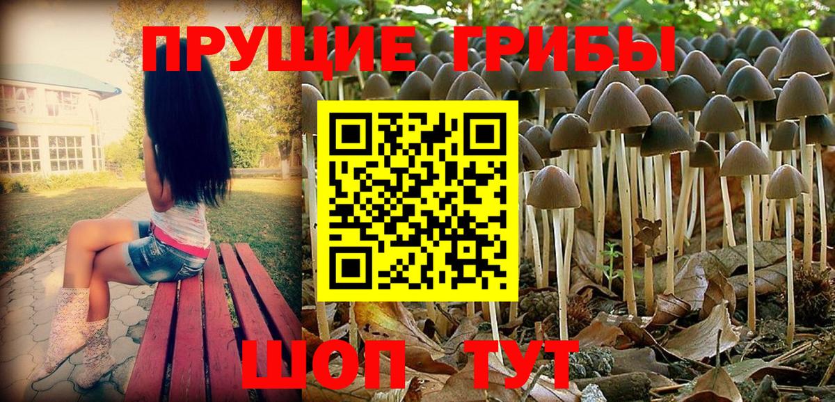 Галлюциногенные грибы MAGIC MUSHROOMS  Вход с VPN  Псилоцибиновые грибы Psilocybine cubensis  Мурманск 