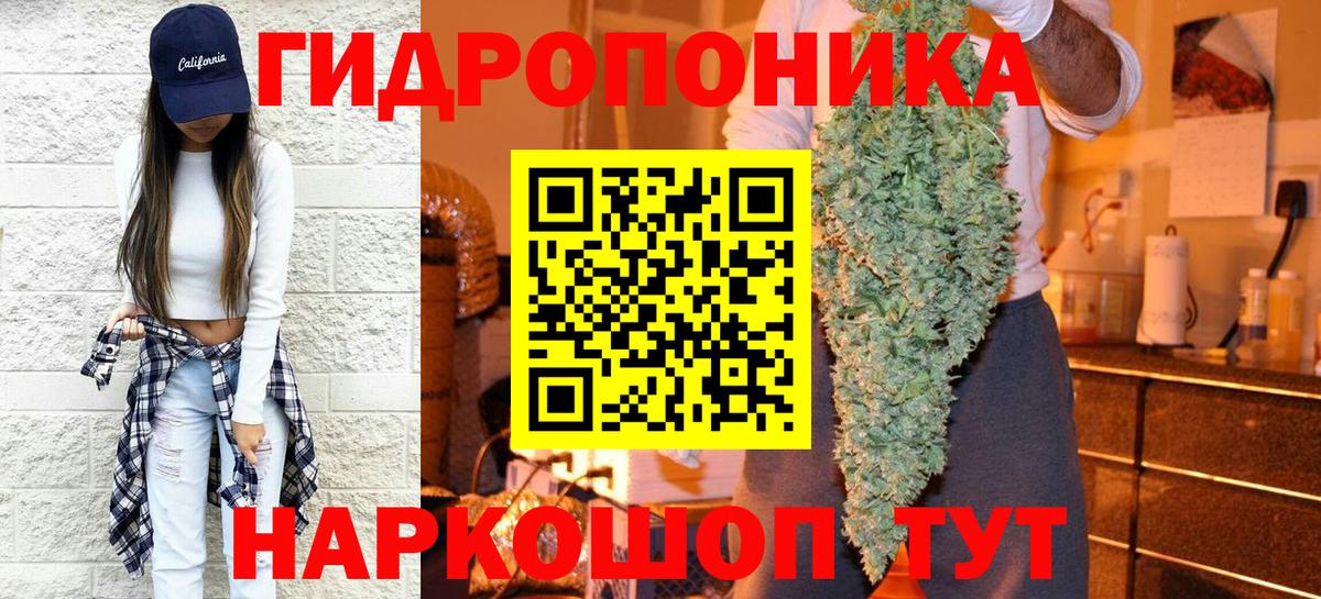 Каннабис тримм  Вход с VPN  Мурманск  Марихуана семена  Каннабис марихуана 